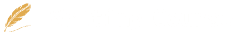 أمير زكي