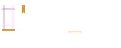أمير زكي
